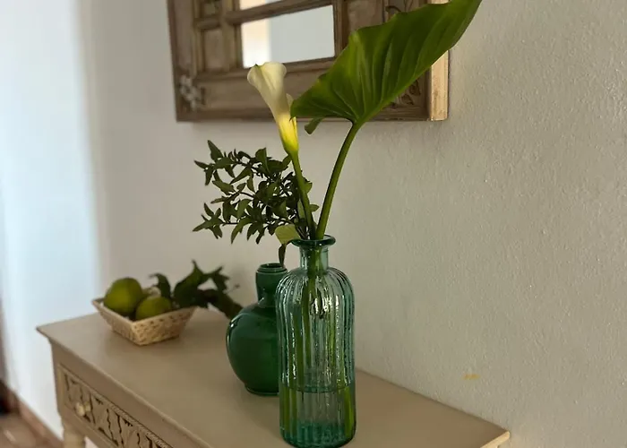La Calzada Apartment *