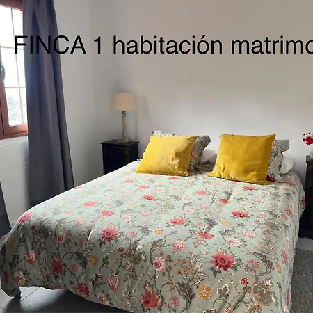 La Calzada *